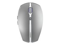 CHERRY GENTIX BT - Mus - optisk - 7 knappar - trådlös - Bluetooth 4.0 - frostat silver JW-7500-20