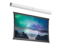 Da-Lite Tensioned DescenderPro - Projektorduk - takmontering - motoriserad - 230 V - 122.05" (310 cm) - 16:9 - Matte White (Tensioned) - RAL 9016 10105586