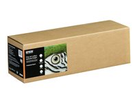 Epson Fine Art - Bomull - matt - 515 mikron - ljus - Rulle (43,2 cm x 15 m) - 300 g/m² - 1 rulle (rullar) fotopapper med konsttextur - för SureColor SC-P20000, SC-P5000, SC-P6000, SC-P7000, SC-P800, SC-P8000, SC-P900, SC-P9000 C13S450284