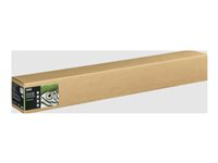 Epson Fine Art II - Bomull - matt - 490 mikron - mjukt ljus - Rulle (111,8 cm x 15 m) - 300 g/m² - 1 rulle (rullar) box - lumppapper C13S450272NQ