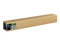 Epson Fine Art Hot Press Natural - Bomull - matt - 490 mikron - Rulle (111,8 cm x 15 m) - 300 g/m² - 1 rulle (rullar) lumppapper - för SureColor SC-P20000, SC-P20000SE, SC-P8000, SC-P9000, SC-P9000V C13S450265