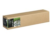 Epson Fine Art II - Bomull - slät matt - 490 mikron - ljust vit - Rulle (61 cm x 15 m) - 300 g/m² - 1 rulle (rullar) box - lumppapper C13S450271NQ