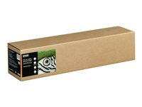 Epson Fine Art - Bomull - matt - 515 mikron - ljus - Rulle (61 cm x 15 m) - 300 g/m² - 1 rulle (rullar) fotopapper med konsttextur - för SureColor SC-P20000, SC-P6000, SC-P7000, SC-P8000, SC-P9000 C13S450285