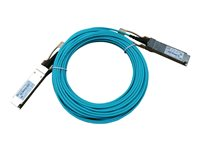 HPE X2A0 - 100GBase-AOC direktanslutningskabel - QSFP28 till QSFP28 - 5 m - fiberoptisk - aktiv - för FlexFabric 5944 48XGT 6QS28 Switch JL796A