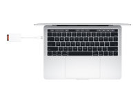 Apple USB-C to SD Card Reader - Kortläsare (SD UHS-II) - USB-C MW653ZM/A