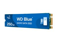 WD Blue SA510 WDS250G3B0B-00AXS0 - SSD - 250 GB - inbyggd - M.2 2280 - SATA 6Gb/s - blå WDS250G3B0B-00AXS0