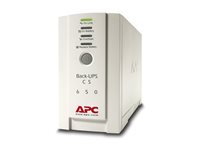 APC Back-UPS CS 650 - UPS - AC 230 V - 400 Watt - 650 VA - RS-232, USB - utgångskontakter: 4 - beige BK650EI