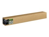 Epson Fine Art - Bomull - matt - 515 mikron - naturlig textur - Rulle (61 cm x 15 m) - 300 g/m² - 1 rulle (rullar) lumppapper - för SureColor SC-P20000, SC-P20000SE, SC-P8000, SC-P9000, SC-P9000V C13S450279