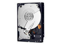 WD RE4 WD2503ABYX - Hårddisk - 250 GB - inbyggd - 3.5" - SATA 3Gb/s - 7200 rpm - buffert: 64 MB WD2503ABYX