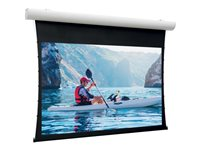 Da-Lite Tensioned Elpro Concept - Projektorduk - takmontering, väggmontering - motoriserad - 230 V - 163" (413 cm) - 16:10 - Matte White - RAL 9016 10102771