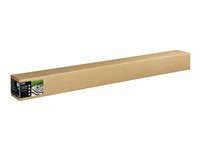 Epson Fine Art - Bomull - matt - 400 mikron - naturlig textur - Rulle (162,6 cm x 15 m) - 300 g/m² - 1 rulle (rullar) lumppapper - för SureColor SC-P20000, SC-P20000SE C13S450280
