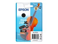 Epson 250XL - 10.2 ml - XL - svart - original - blister - bläckpatron - för P/N: C11CL95402 C13T16P14010