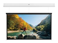 Da-Lite DescenderPro - Projektorduk - takmontering - motoriserad - 230 V - 168.11" (427 cm) - 16:10 - Matte White - matt vit, RAL 9016 10106805